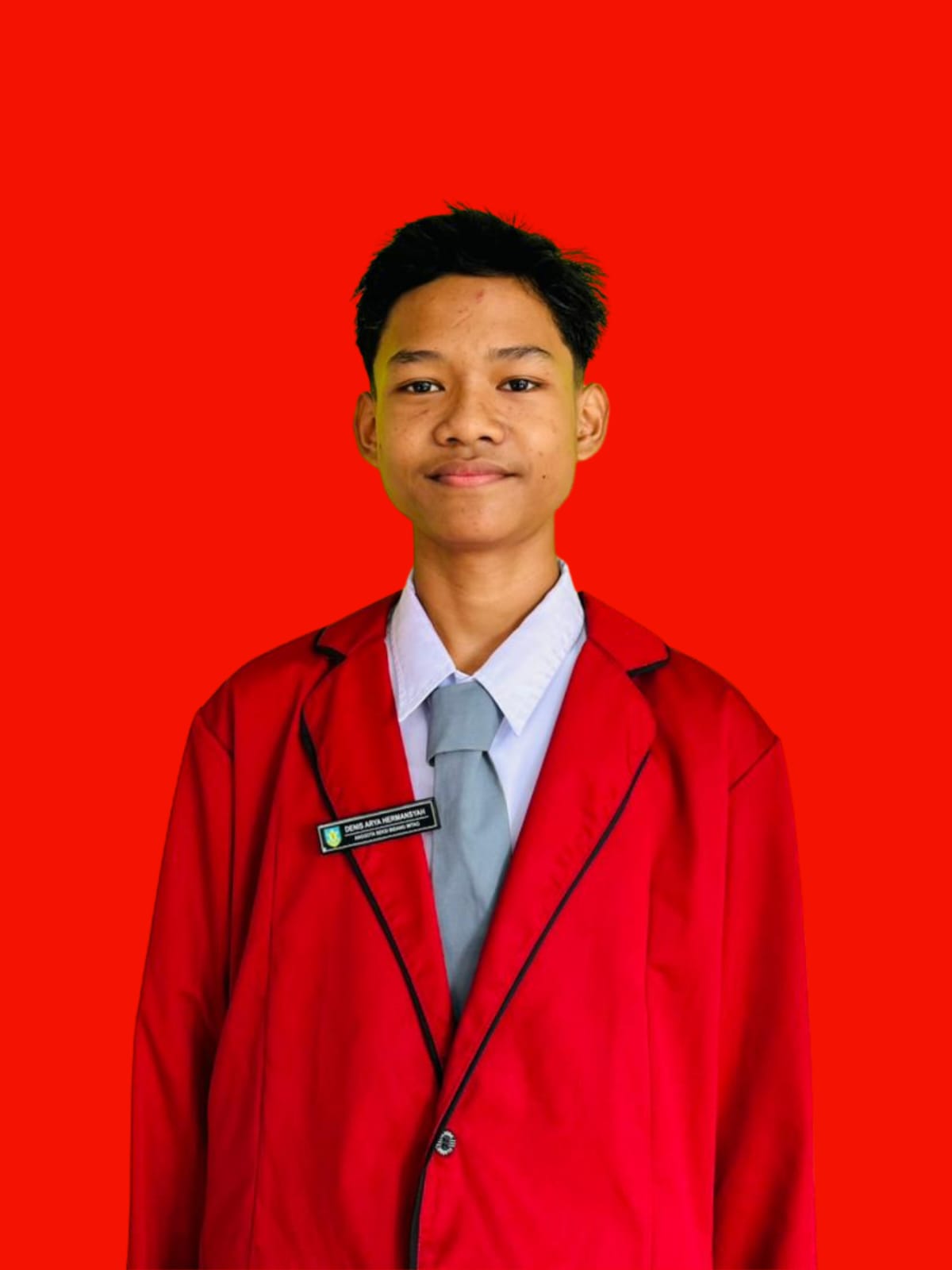 Denis Arya Hermansyah