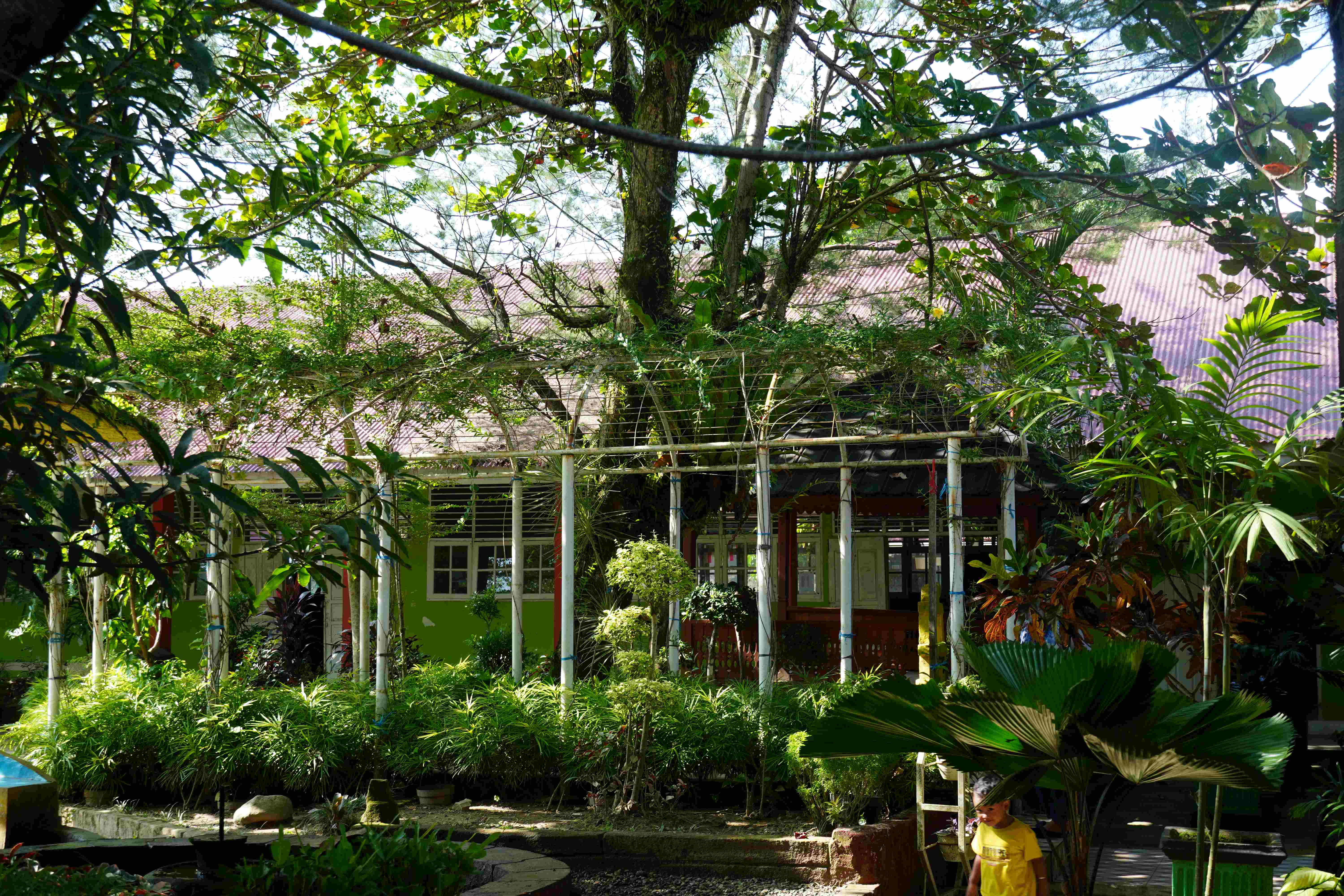 Taman