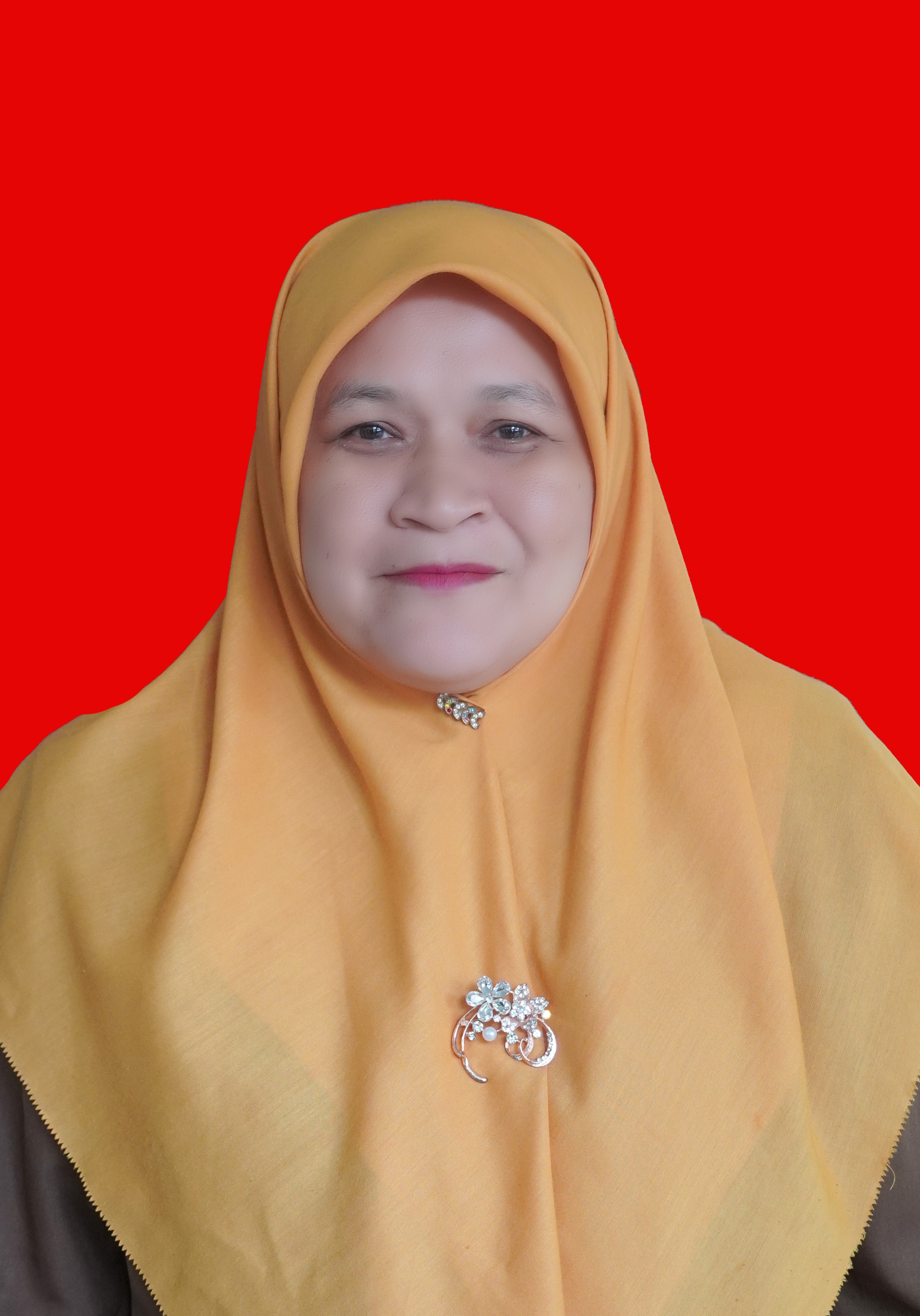 Roza Ardianti Zain, S.Sos